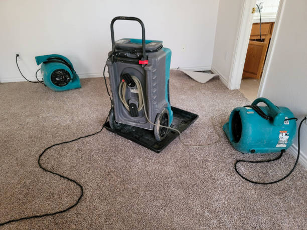 Holly Hill, SC Water damage restoration Company
