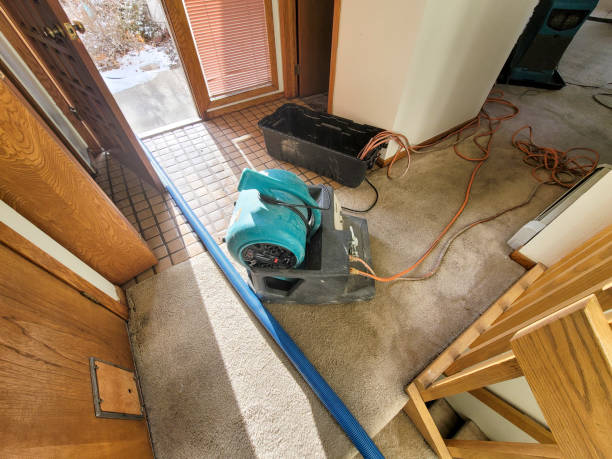 Best Ceiling water damage repair  in Holly Hill, SC