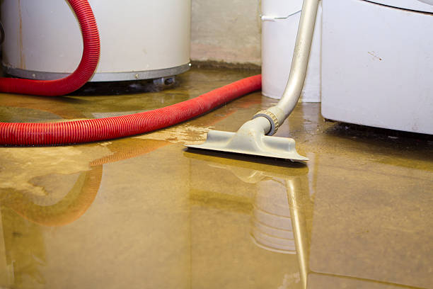  Holly Hill, SC Water damage restoration Pros