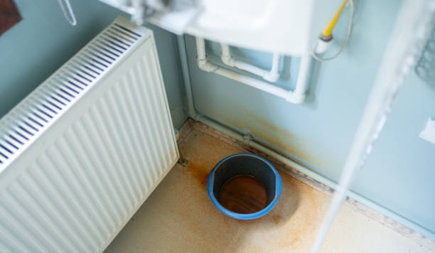 Best Basement water damage restoration  in Holly Hill, SC